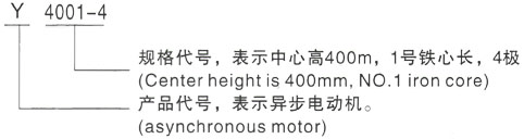 西安泰富西玛Y系列(H355-1000)高压YE2-100L-6三相异步电机型号说明