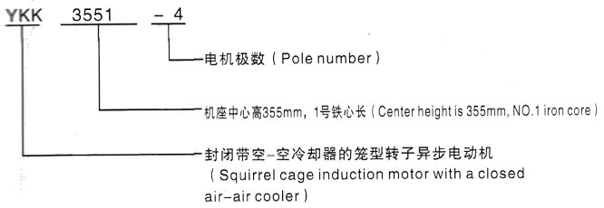 YKK系列(H355-1000)高压YE2-100L-6三相异步电机西安泰富西玛电机型号说明